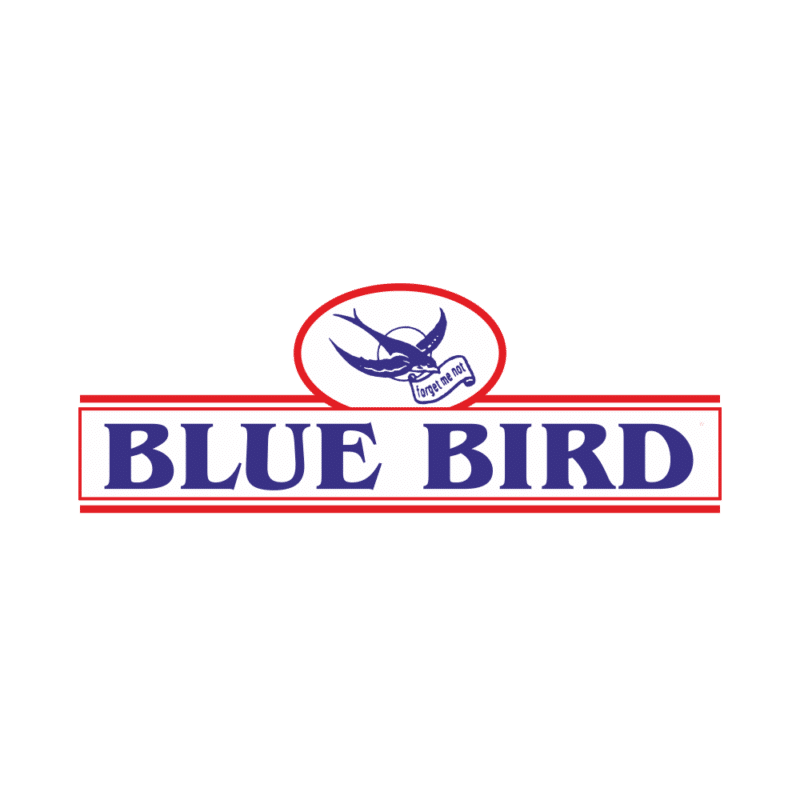 Blue Bird BS 22-400 - Sprühgerät - 21V 5 Ah im Angebot